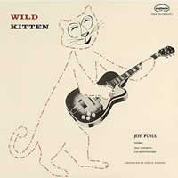 Wild Kitten ~ LP x1 180g